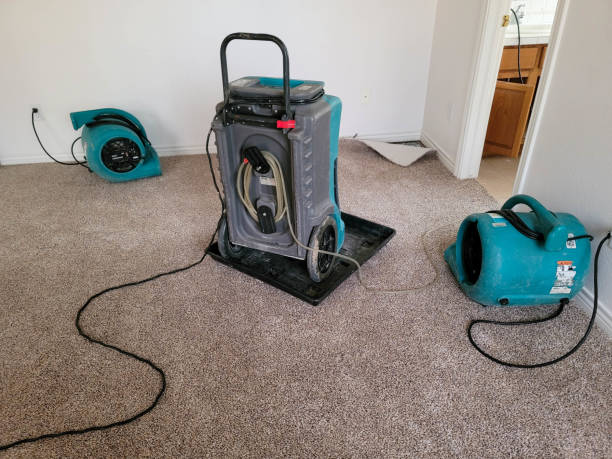 Best Water damage restoration near me  in Rockville, CT