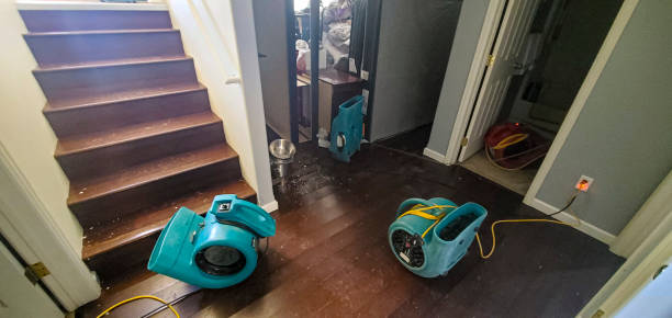 Best Water damage restoration experts  in Rockville, CT