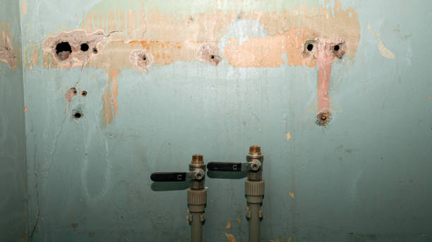 Best Flooded house restoration  in Rockville, CT