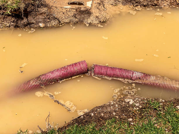 Best Residential water damage restoration  in Rockville, CT